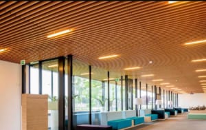 Ốp trần gỗ nhựa chịu nước và ốp trần gỗ tự nhiên  